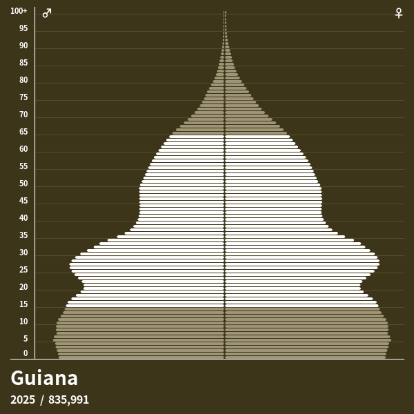 Pirâmide populacional do Guiana em 2024 Pirâmides de população