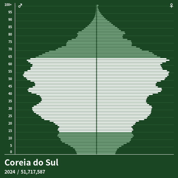 pir-mide-populacional-do-coreia-do-sul-em-2024-pir-mides-de-popula-o