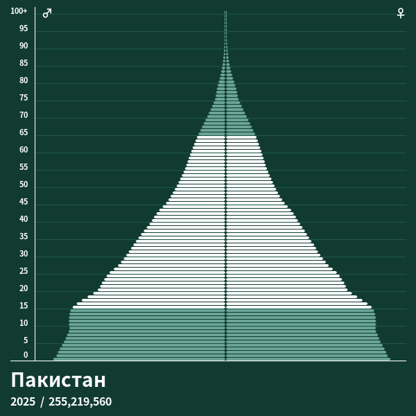 Численность населения пакистана на 2024 год