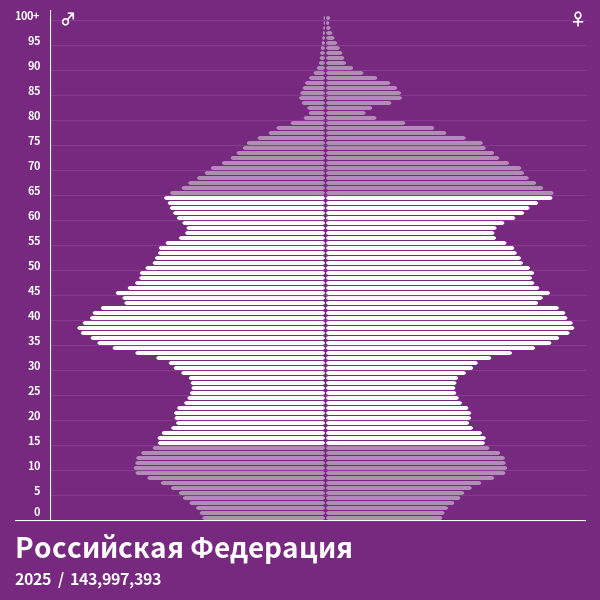 Пирамида населения Российская Федерация в 2024 году