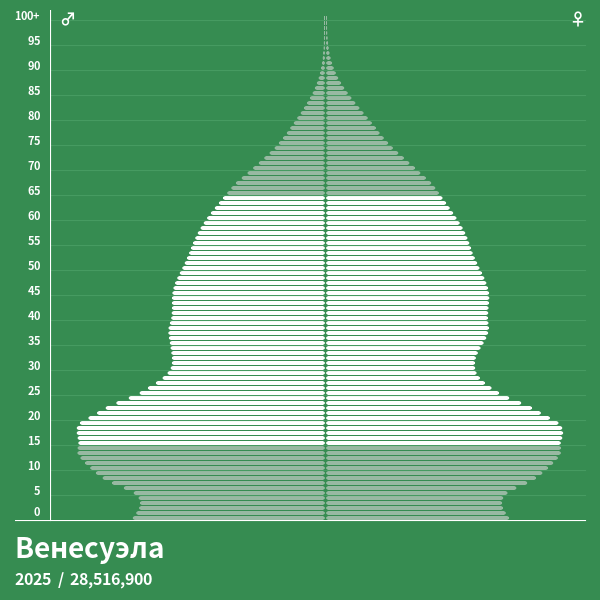 Пирамида населения Венесуэла в 2024 году Возрастнополовая пирамида