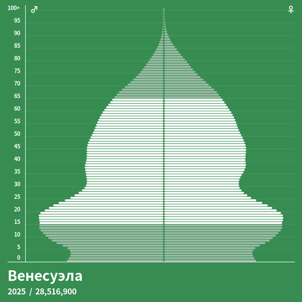 Пирамида населения Венесуэла в 2024 году Возрастнополовая пирамида